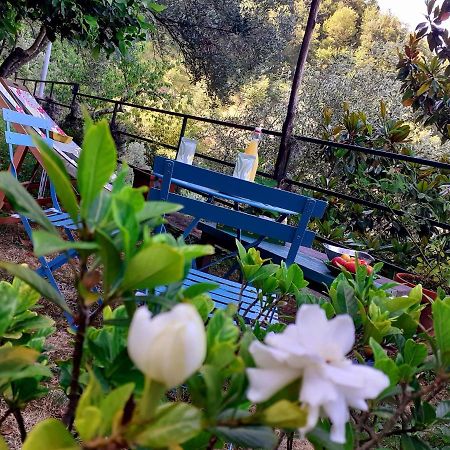 B&B I Glicini Vescina ภายนอก รูปภาพ