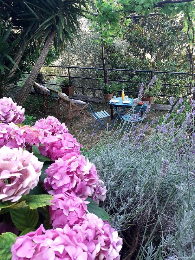 B&B I Glicini Vescina ภายนอก รูปภาพ