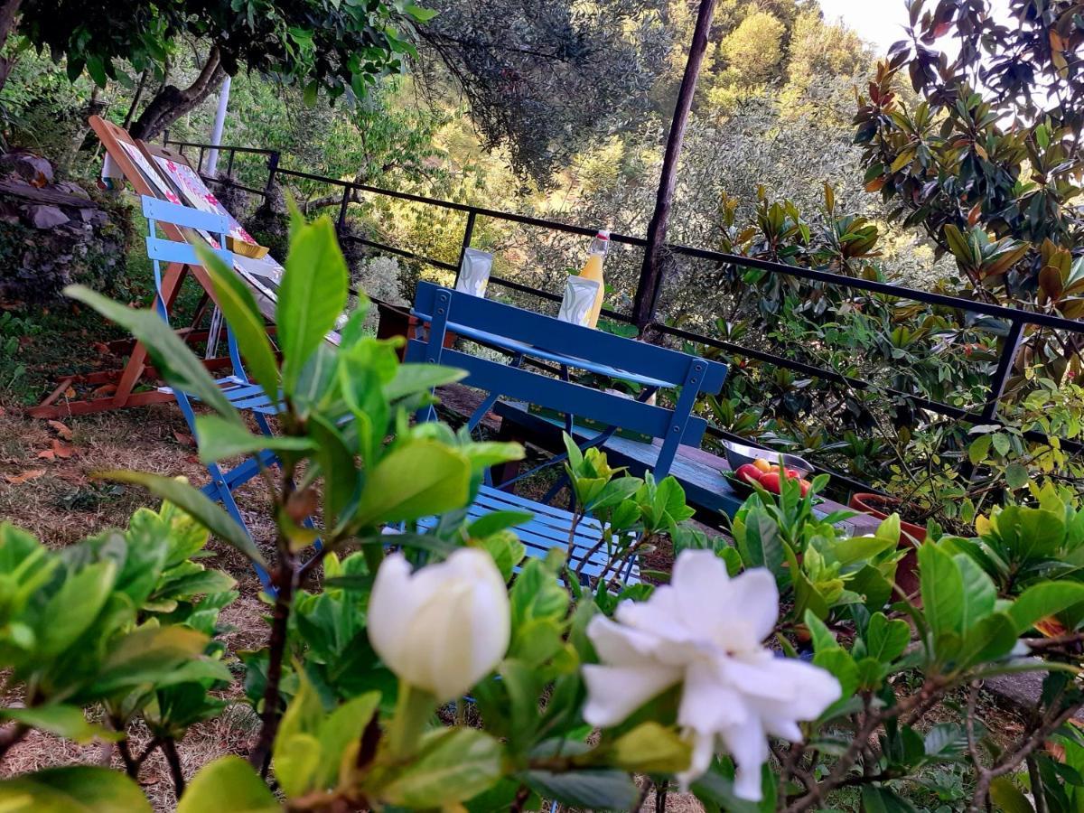 B&B I Glicini Vescina ภายนอก รูปภาพ