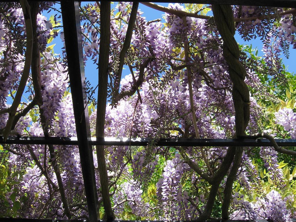 B&B I Glicini Vescina ภายนอก รูปภาพ