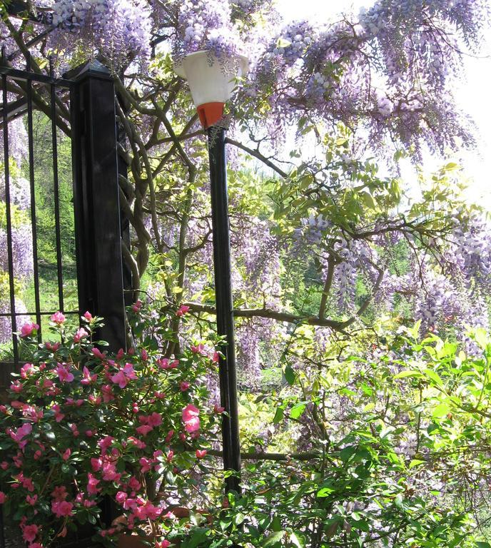 B&B I Glicini Vescina ภายนอก รูปภาพ