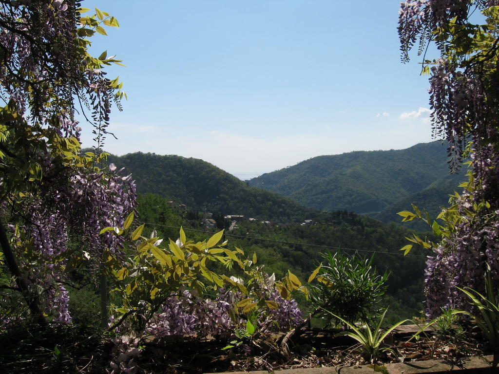 B&B I Glicini Vescina ภายนอก รูปภาพ