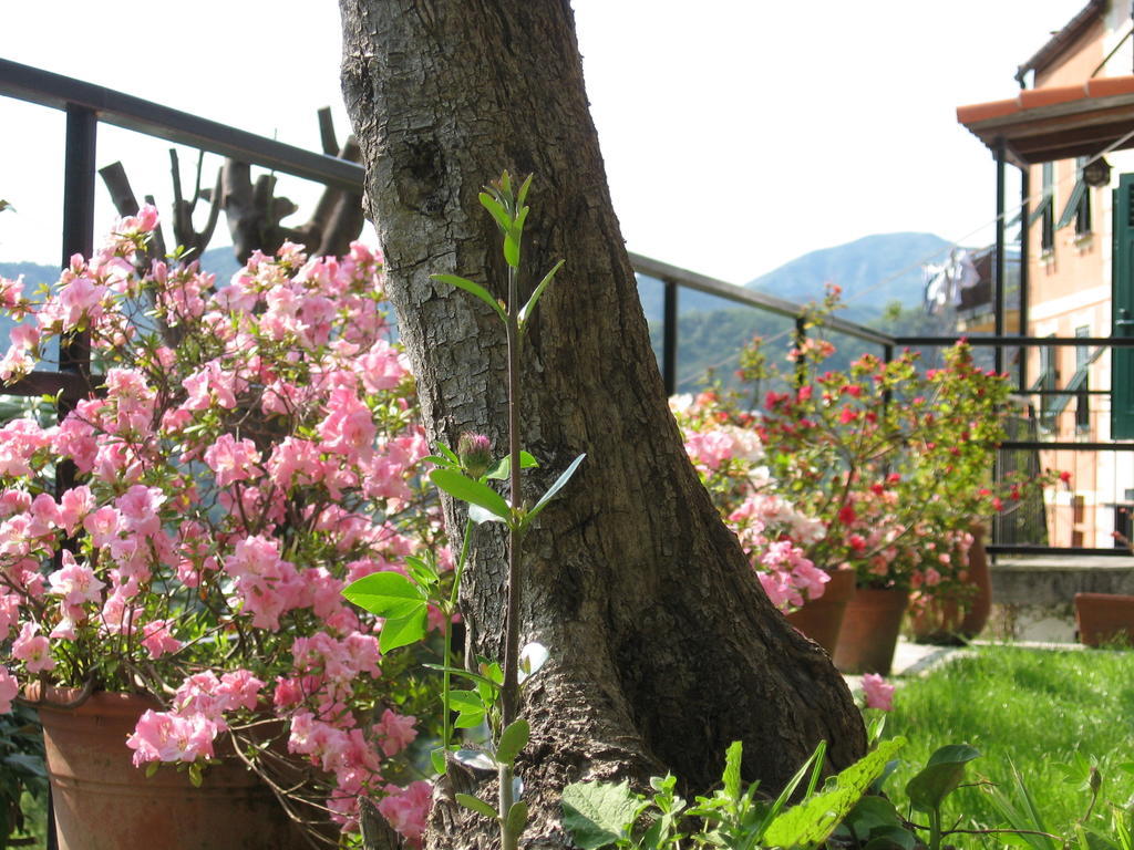 B&B I Glicini Vescina ภายนอก รูปภาพ