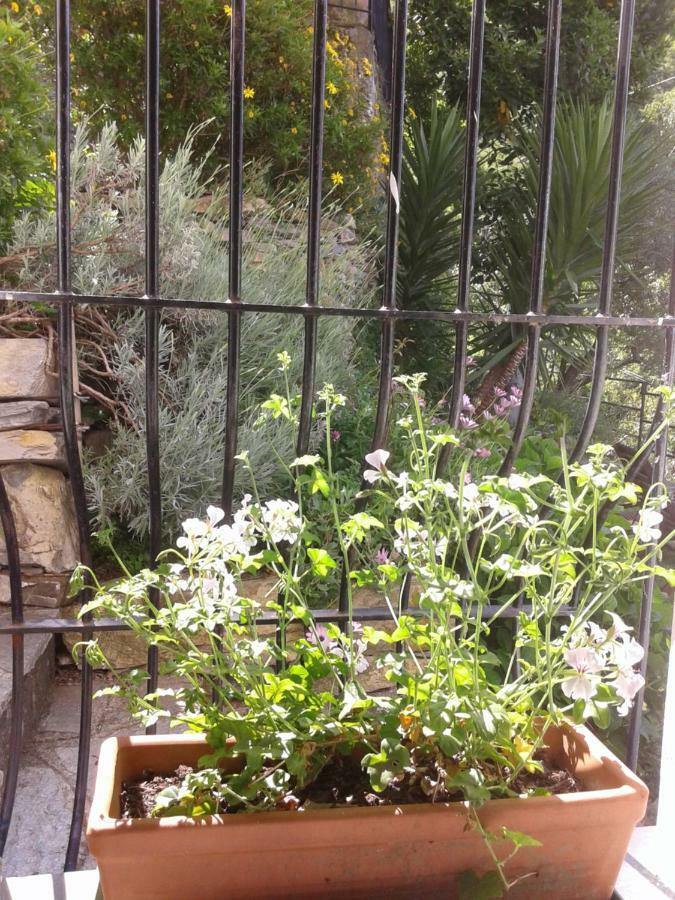 B&B I Glicini Vescina ภายนอก รูปภาพ