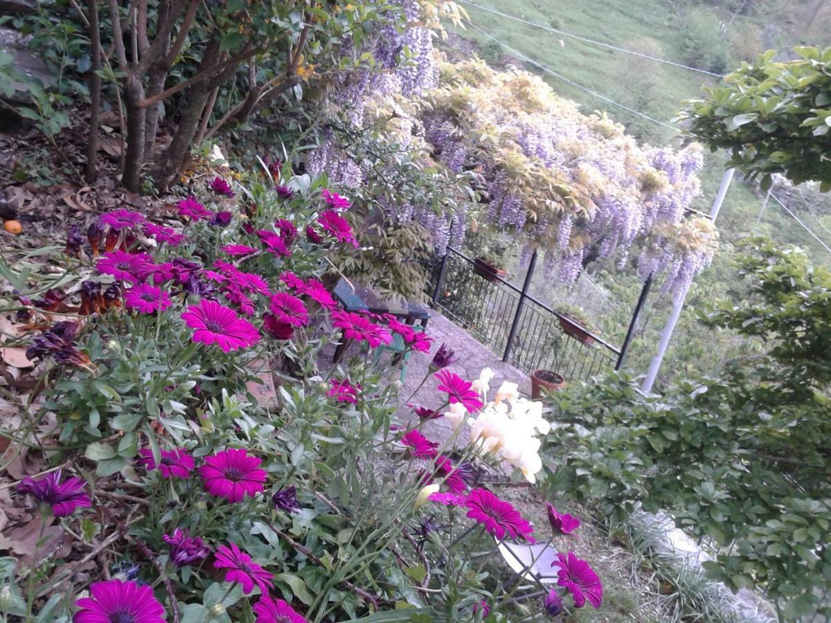 B&B I Glicini Vescina ภายนอก รูปภาพ