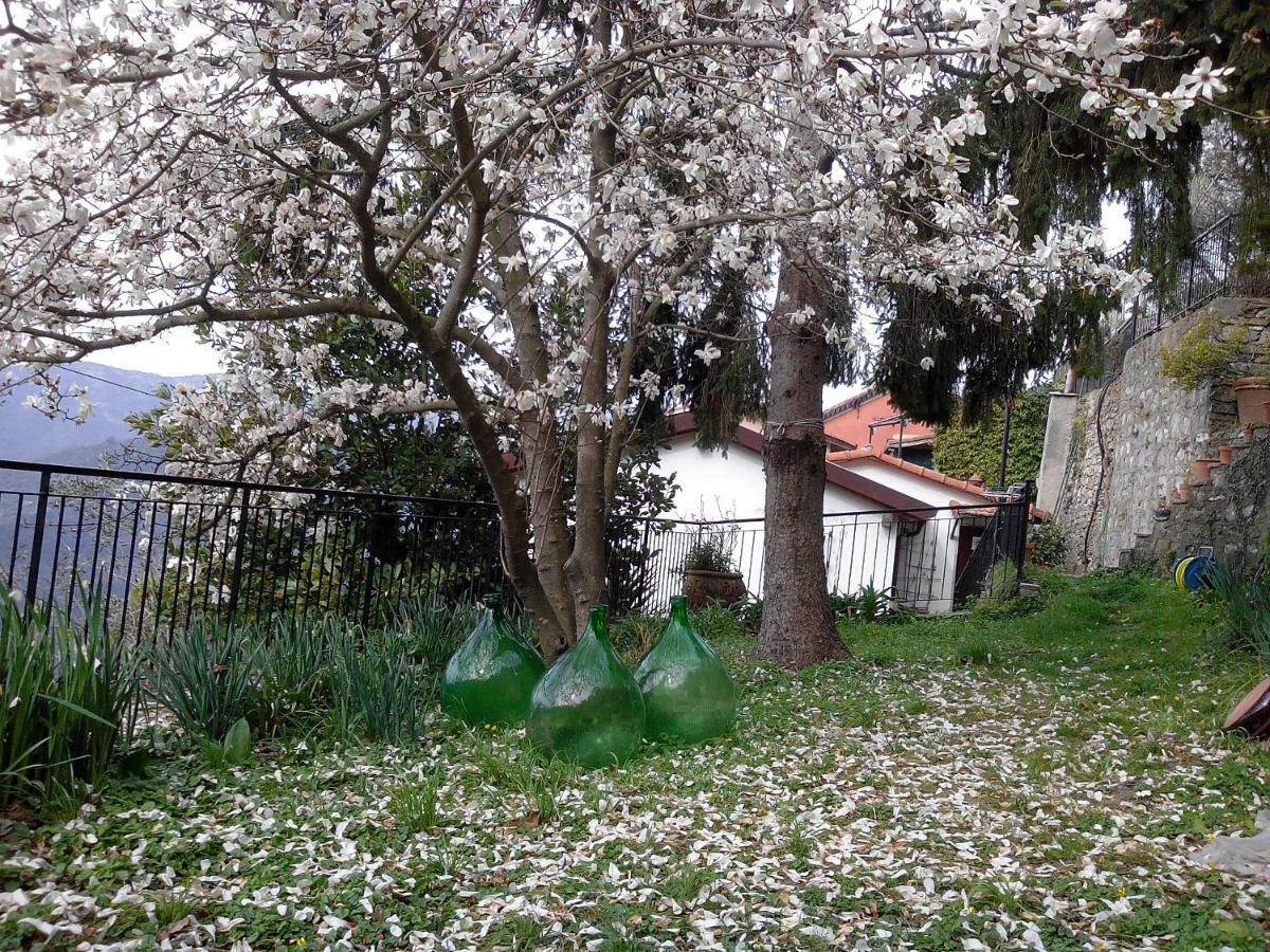 B&B I Glicini Vescina ภายนอก รูปภาพ