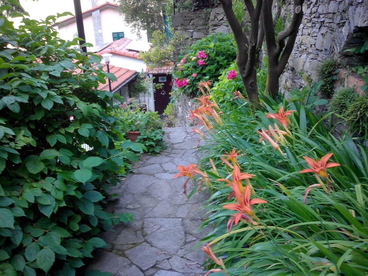 B&B I Glicini Vescina ภายนอก รูปภาพ