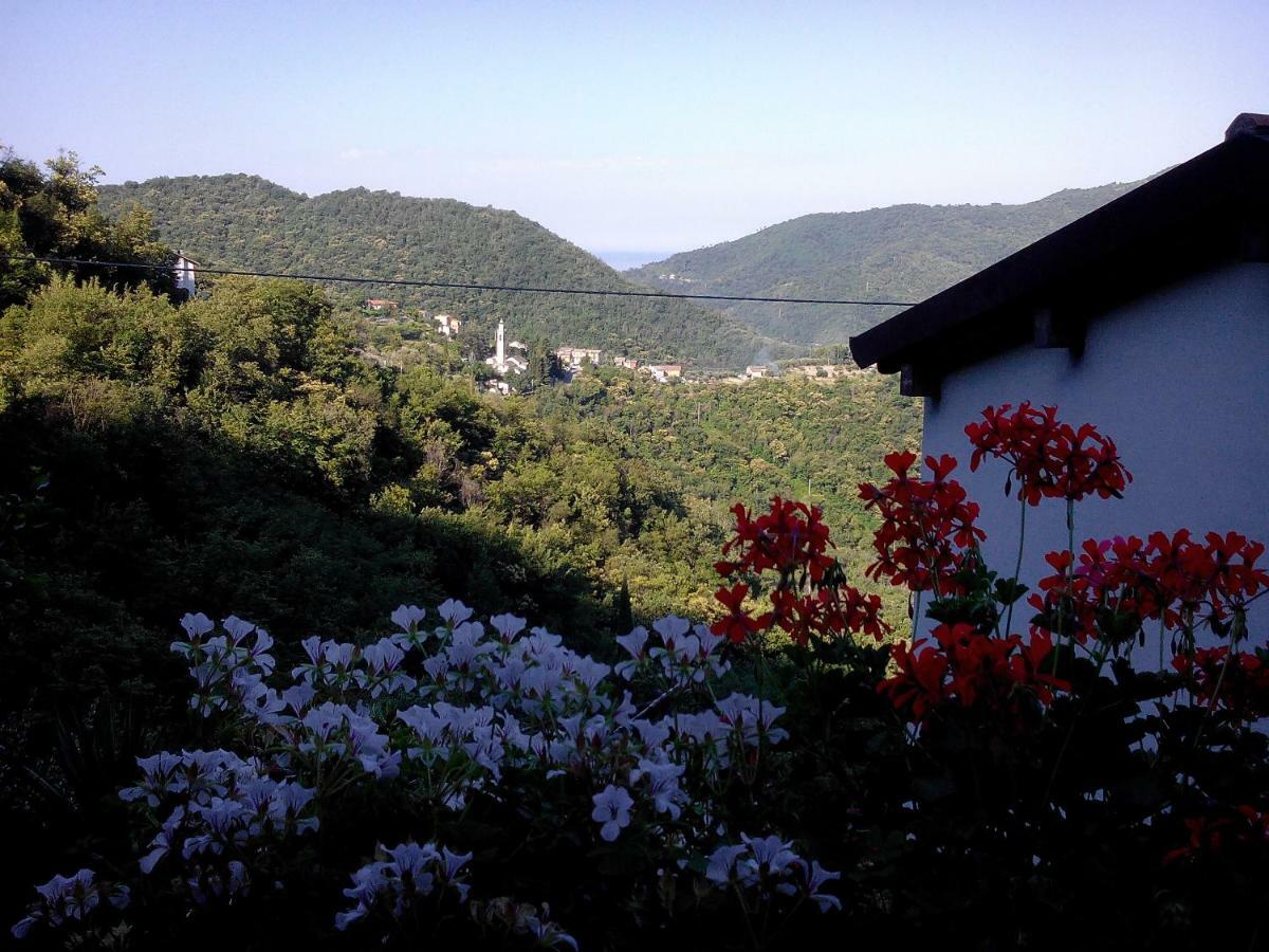B&B I Glicini Vescina ภายนอก รูปภาพ