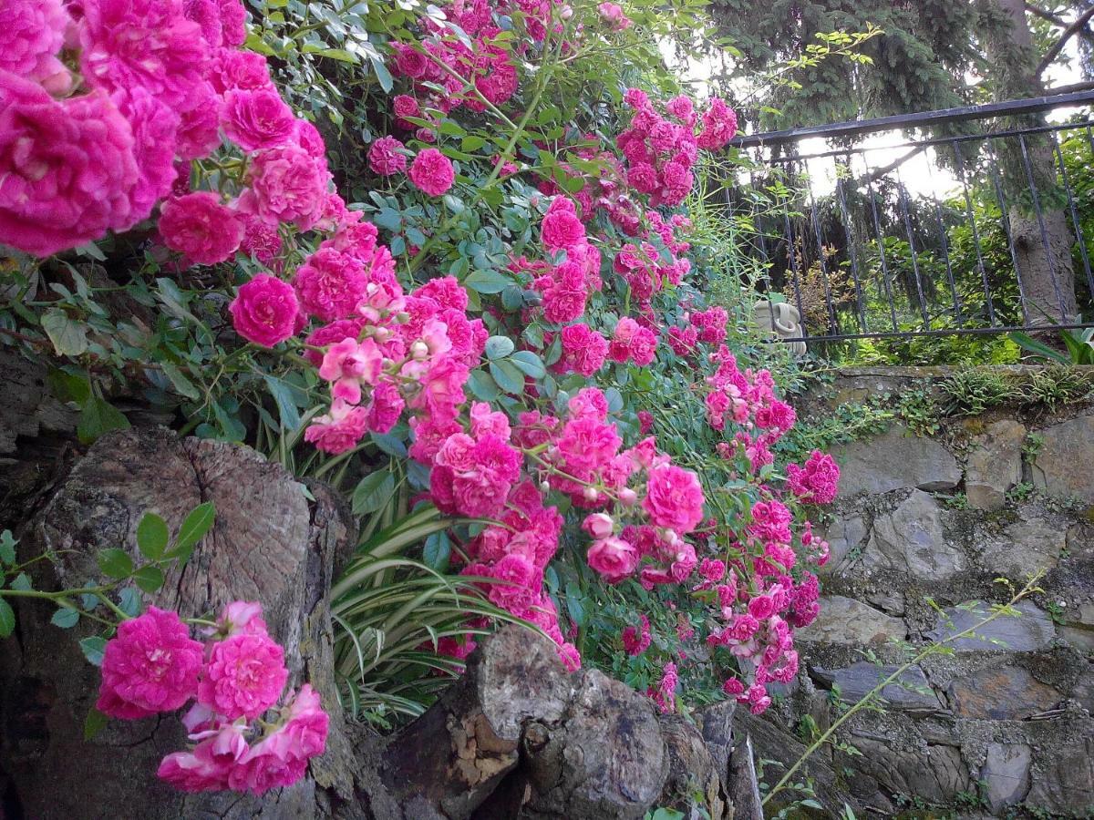 B&B I Glicini Vescina ภายนอก รูปภาพ