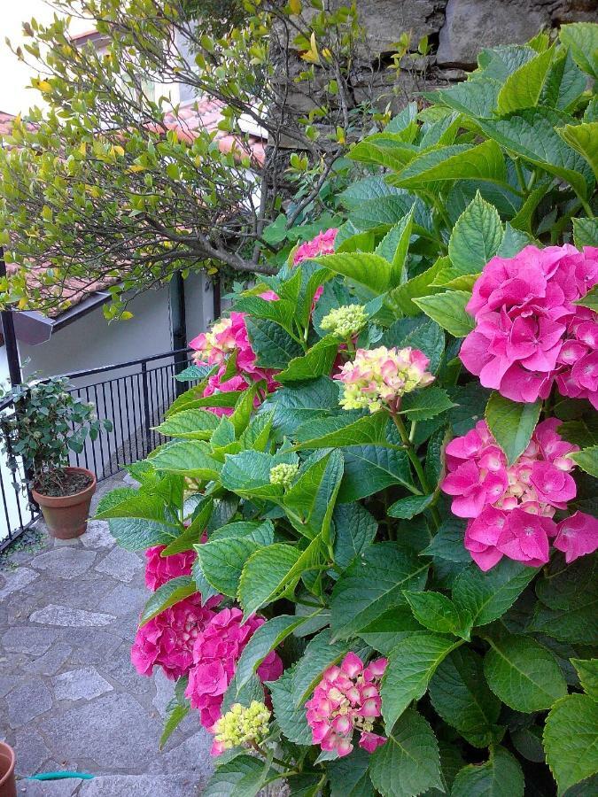 B&B I Glicini Vescina ภายนอก รูปภาพ