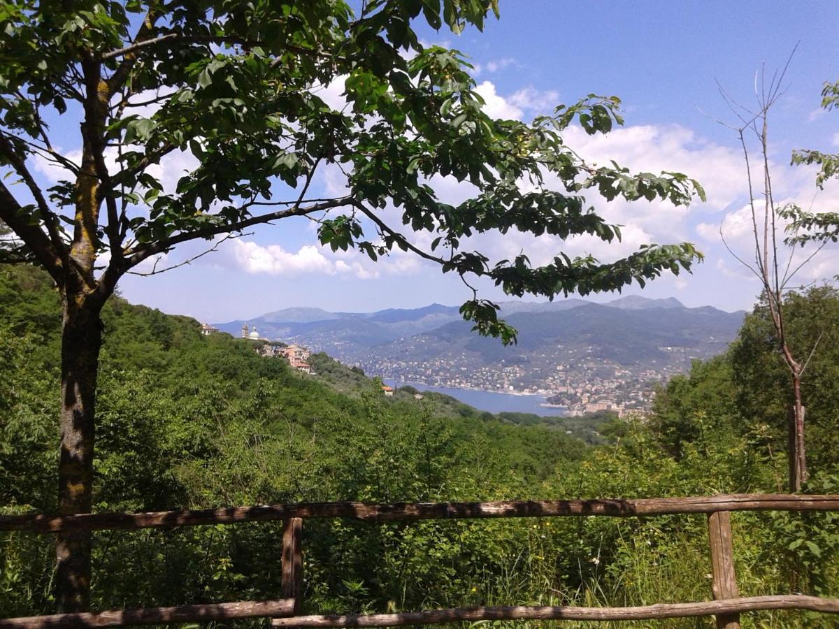 B&B I Glicini Vescina ภายนอก รูปภาพ