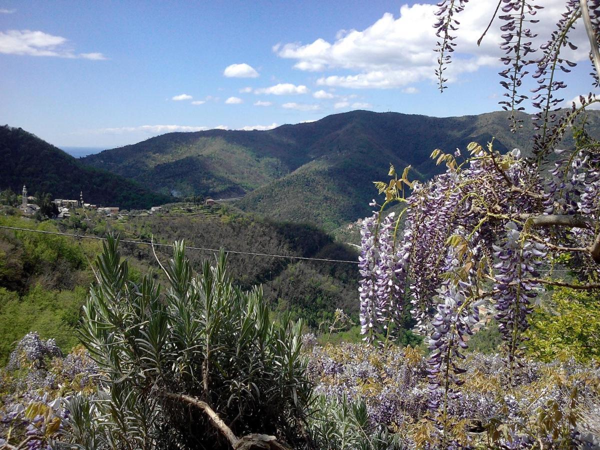 B&B I Glicini Vescina ภายนอก รูปภาพ